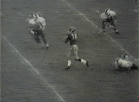 Hall Of Fame Football GIF by Pitt Panthers