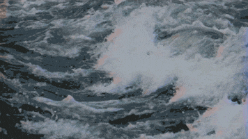 Water Wave GIF by Chloe Stroll