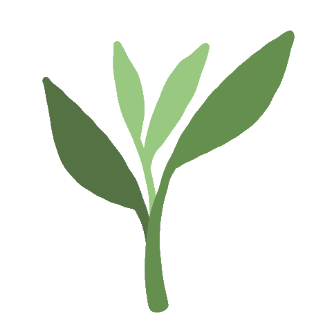 Plant Grow Sticker - Find & Share on GIPHY