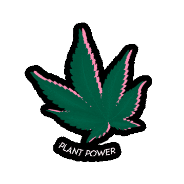 Plantpower Sticker