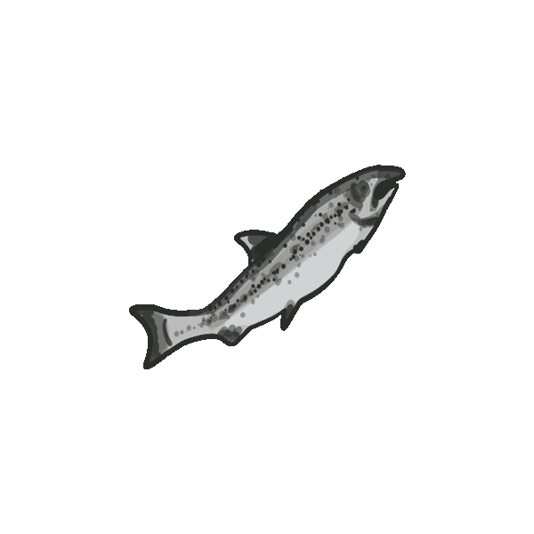 Alsek Fish Sticker