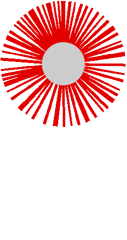 Apeldoorn Sticker by Blinq - the ultimate carwash