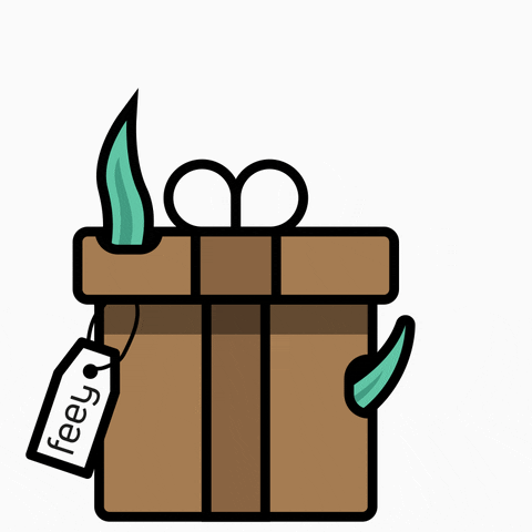 Plants Unboxing GIF by feey.pflanzen