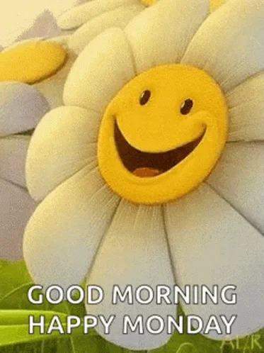 Happy Monday GIF by memecandy