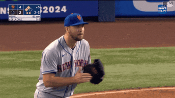Celebrate Lets Go GIF by New York Mets