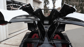 look inside limited edition GIF by Yiannimize