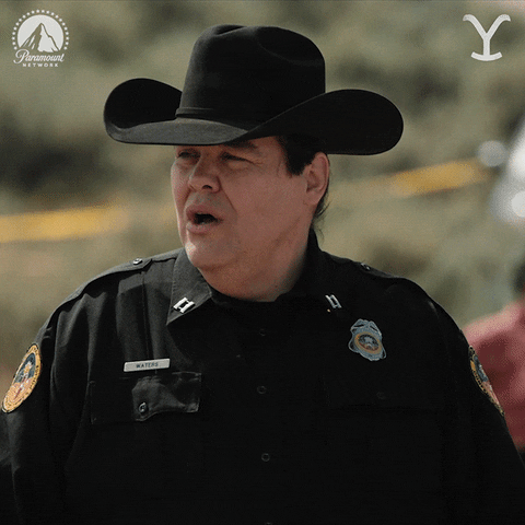 Lets Go Paramountnetwork GIF by Yellowstone
