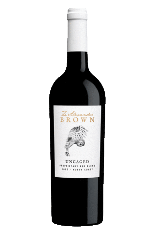 Z. Alexander Brown Sticker