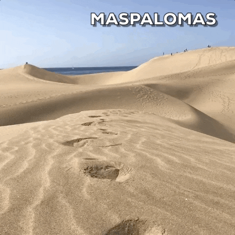 Beach Spain GIF by Visit Maspalomas