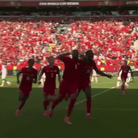 Fifa World Cup Football GIF