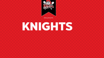 Nashua Silver Knights Baseball GIF