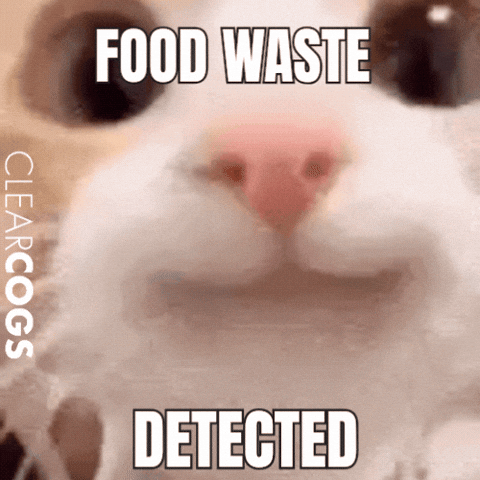 Suspicious Cat GIF by ClearCOGS