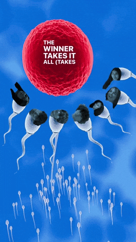Sperm Reproduction GIF
