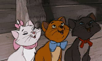 The Aristocats Cat GIF by Disney
