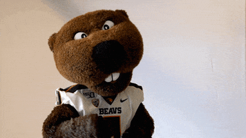 Oregon State College GIF by Oregon State University