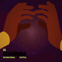 Go Team Agree GIF by La Guarimba Film Festival