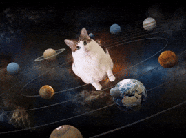Uncle Baobao GIF
