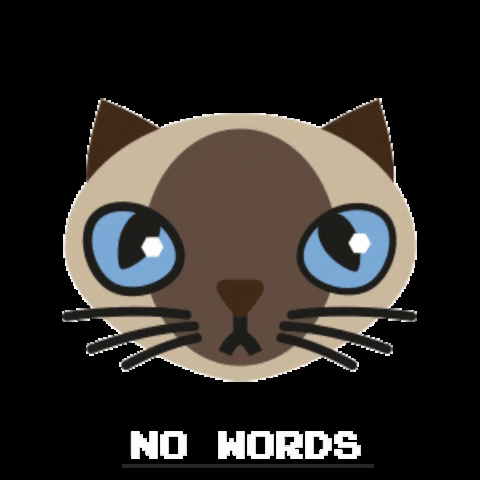 Cat GIF