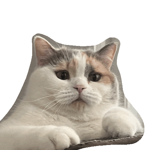Cat Sticker