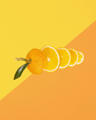 Animation Orange GIF by linastopmotion