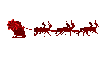 Natal Flamboyant Sticker by Flamboyant Shopping