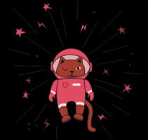 Z8official cat space kitten astronaut GIF