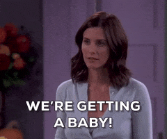 Adopting Episode 8 GIF by Friends