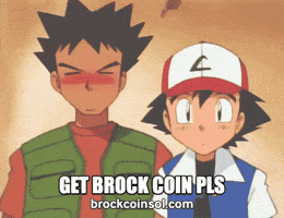 Brock Coin GIF