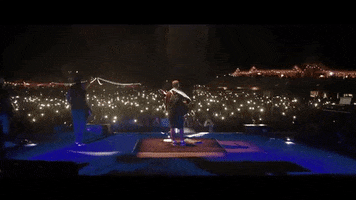 lights crowd GIF by Rebelution
