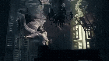 Harry Styles GIF
