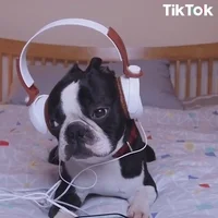 Musica Relax GIF by TikTok Italia