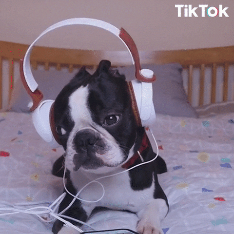 Musica Relax GIF by TikTok Italia - Find & Share on GIPHY