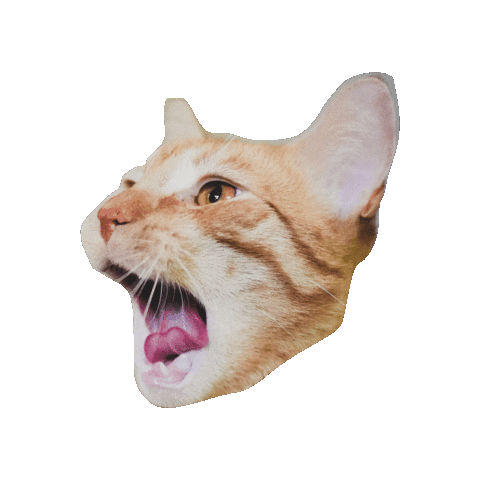 Mylesandspot Sticker