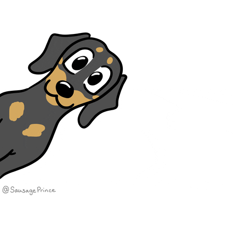 Kreslený gif s vykukujícím kresleným mrkajícím pejskem ze strany.