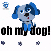 Oh My Dog GIF by SAFE Inc