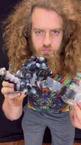 Chess GIF