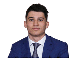 Team Buda / McGrath Sticker