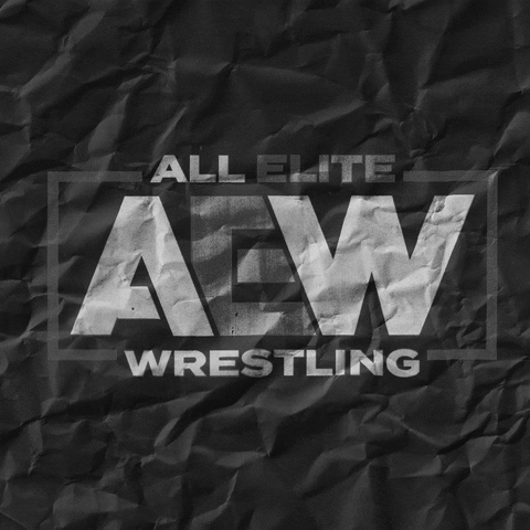 aew allelitewrestling all out allout aewrestling GIF