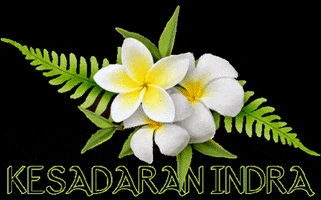 Kesadaran Indra GIF