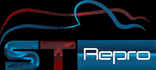 ST Repro GIF