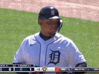 Major League Baseball Reaction GIF by Detroit Tigers - Find & Share on GIPHY