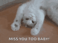 50+ I miss you too gif cute for a cute way to say I miss you too