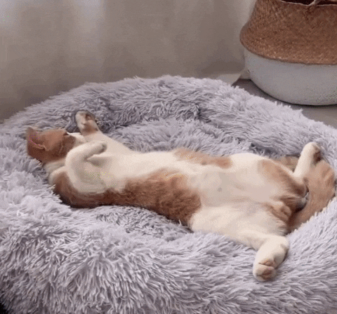 via GIPHY