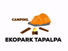 EKOPARKTAPALPA camping tapalpa ekoparktapalpa campamento tapalpa GIF