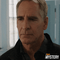 Confusion What GIF by MyPetHippoProductions