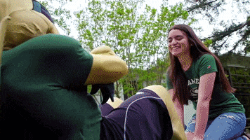 Sac-State work out hornet herky sac state GIF