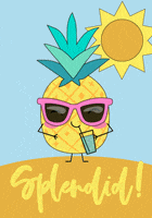 Summer Sun GIF by Pineapple Clothing