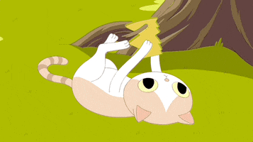 Cat GIF