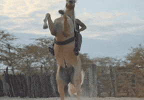 Prime Video Ubaldo GIF