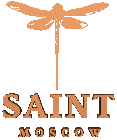 Saint Visual3D Sticker by Geegun